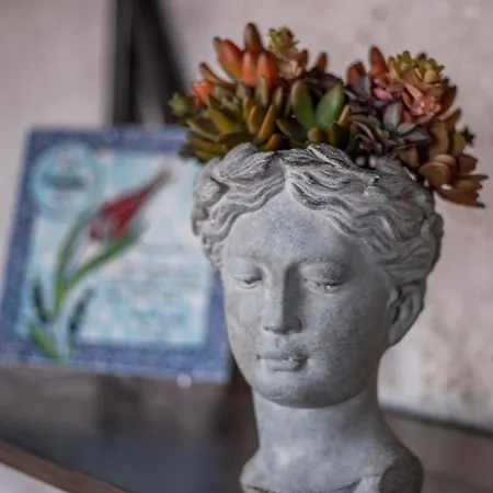 מלון Nino Cave 3*